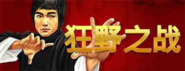 狂野之戰